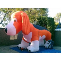 Inflable de Fantasía