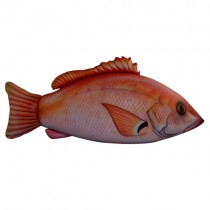 Huachinango Inflable