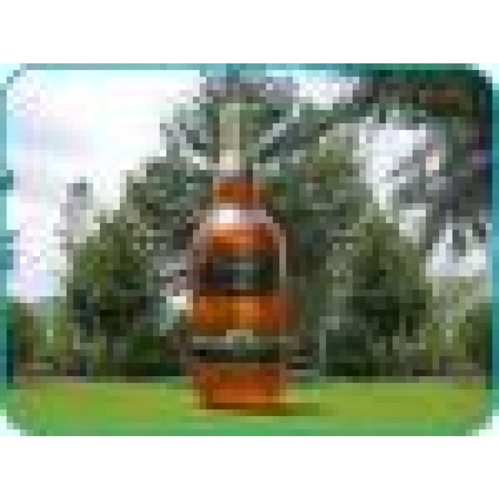 Inflable Publicitario Tipo Botella