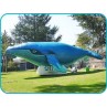 Inflable Tipo P.O.P